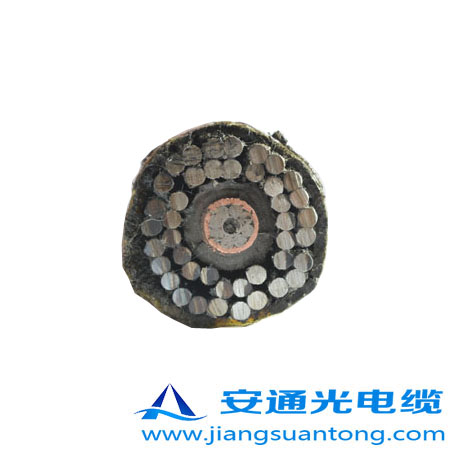 GYTA53-333|,OPPC|S(chng)ADSS|r(ji)24оOPGW|