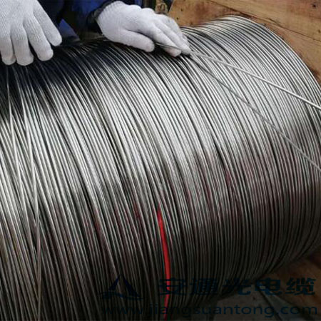4.0mm ͚⾮Âй|,OPPC|SADSS|r24оOPGW|